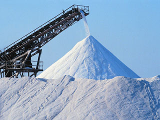 皮帶輸送機(jī)