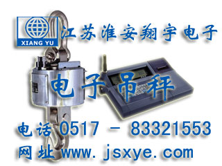無(wú)線電子吊秤,無(wú)線吊秤,無(wú)線吊秤廠家,電子吊秤,電子吊秤廠家