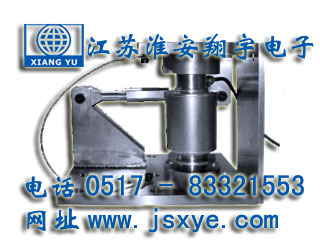 XYWS-CSM稱重模塊