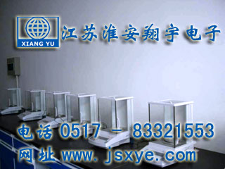 威特藥業(yè)采購12臺江蘇淮安翔宇電子天平廠家高精度分析天平